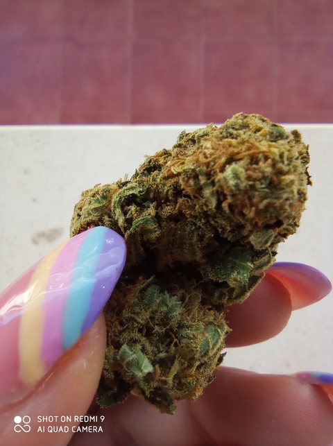 palomap OnlyFans - Free Access to 32 Videos & 49 Photos Onlyfans Free Access