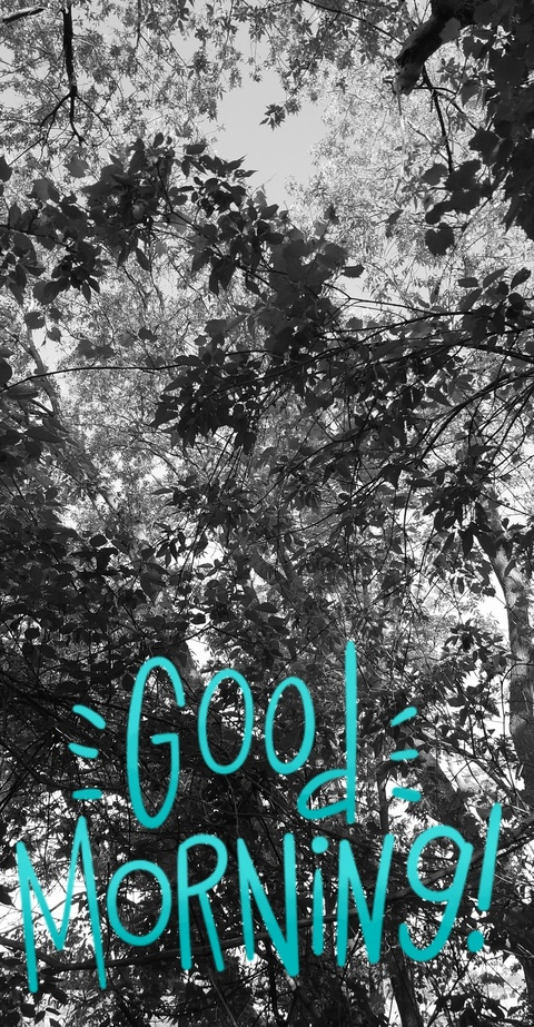 pea_jam OnlyFans - Free Access to 32 Videos & 49 Photos Onlyfans Free Access