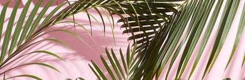 peachixx OnlyFans - Free Access to 46 Videos & 249 Photos Onlyfans Free Access