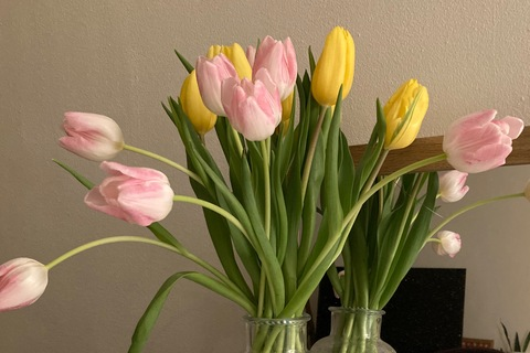 peachy_kisses OnlyFans - Free Access to 32 Videos & 389 Photos Onlyfans Free Access