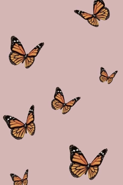 peachyxx OnlyFans - Free Access to 32 Videos & 49 Photos Onlyfans Free Access