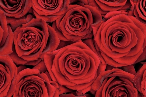 persian_210 OnlyFans - Free Access to 32 Videos & 49 Photos Onlyfans Free Access