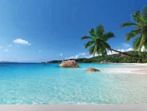 persianlotus OnlyFans - Free Access to 32 Videos & 49 Photos Onlyfans Free Access