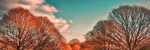 peterg2021 OnlyFans - Free Access to 32 Videos & 49 Photos Onlyfans Free Access