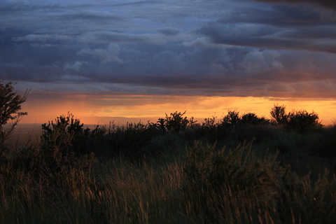 peytonjane11 OnlyFans - Free Access to 32 Videos & 49 Photos Onlyfans Free Access