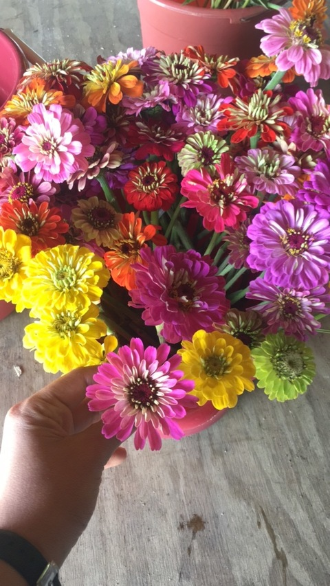 philippinescodding0 OnlyFans - Free Access to 32 Videos & 49 Photos Onlyfans Free Access