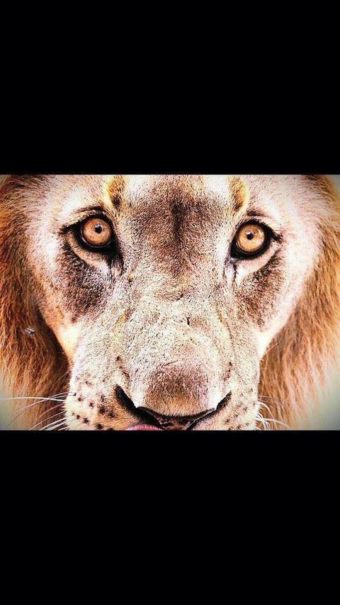 philshredz OnlyFans - Free Access to 32 Videos & 49 Photos Onlyfans Free Access