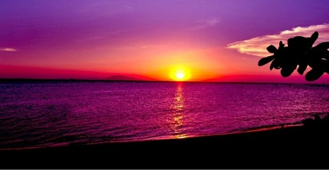 phoenixflame101 OnlyFans - Free Access to 32 Videos & 49 Photos Onlyfans Free Access