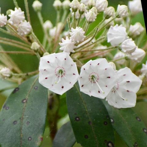 piercedpan OnlyFans - Free Access to 32 Videos & 55 Photos Onlyfans Free Access