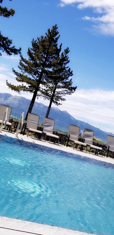 pillowt4lk OnlyFans - Free Access to 32 Videos & 49 Photos Onlyfans Free Access