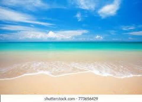 pinkpuma OnlyFans - Free Access to 32 Videos & 49 Photos Onlyfans Free Access