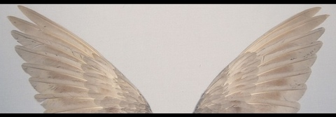 pixiepr1nce55 OnlyFans - Free Access to 32 Videos & 265 Photos Onlyfans Free Access