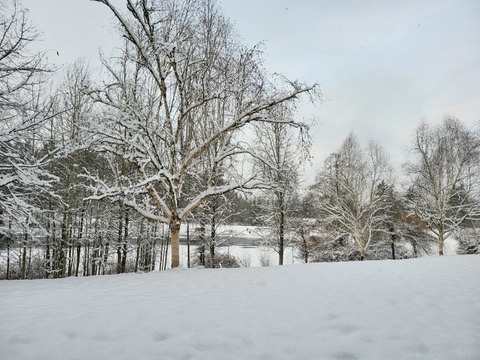 plantdadpines OnlyFans - Free Access to 32 Videos & 49 Photos Onlyfans Free Access