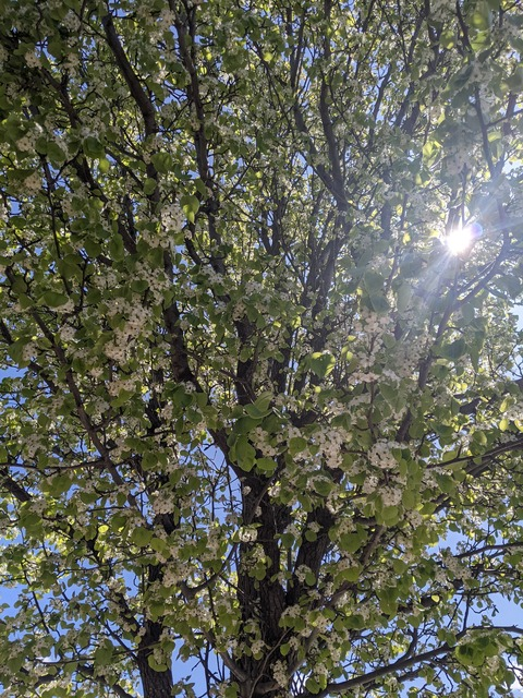 plumppillowprincess OnlyFans - Free Access to 32 Videos & 49 Photos Onlyfans Free Access