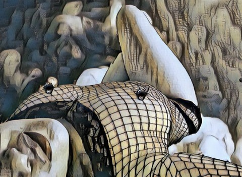 pocketpeeks OnlyFans - Free Access to 32 Videos & 49 Photos Onlyfans Free Access