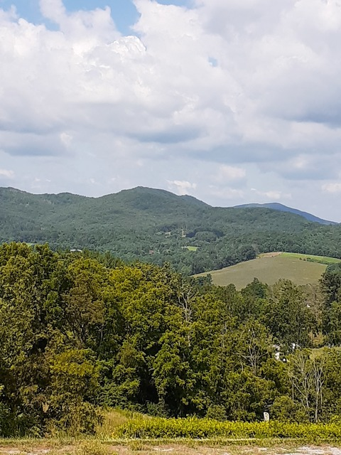 poledancer OnlyFans - Free Access to 38 Videos & 49 Photos Onlyfans Free Access