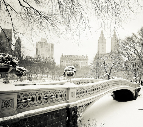 ponderingkiwi OnlyFans - Free Access to 32 Videos & 155 Photos Onlyfans Free Access