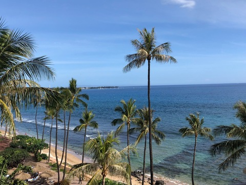 poshbarbie OnlyFans - Free Access to 32 Videos & 49 Photos Onlyfans Free Access