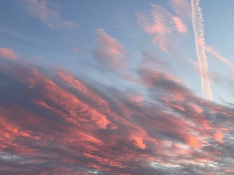 pr3ttyang3l OnlyFans - Free Access to 37 Videos & 49 Photos Onlyfans Free Access