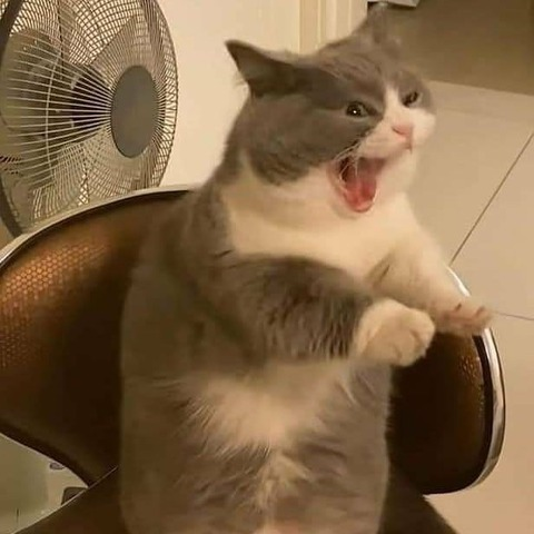 pretty.girl20 OnlyFans - Free Access to 32 Videos & 49 Photos Onlyfans Free Access