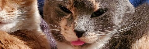 princess_maddz OnlyFans - Free Access to 75 Videos & 49 Photos Onlyfans Free Access