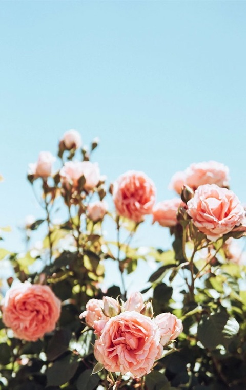 princessj147 OnlyFans - Free Access to 32 Videos & 64 Photos Onlyfans Free Access