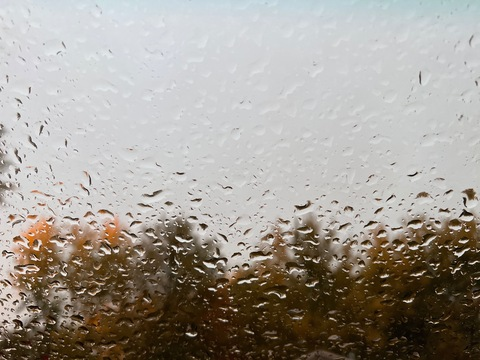 princessjennabeanie OnlyFans - Free Access to 41 Videos & 49 Photos Onlyfans Free Access