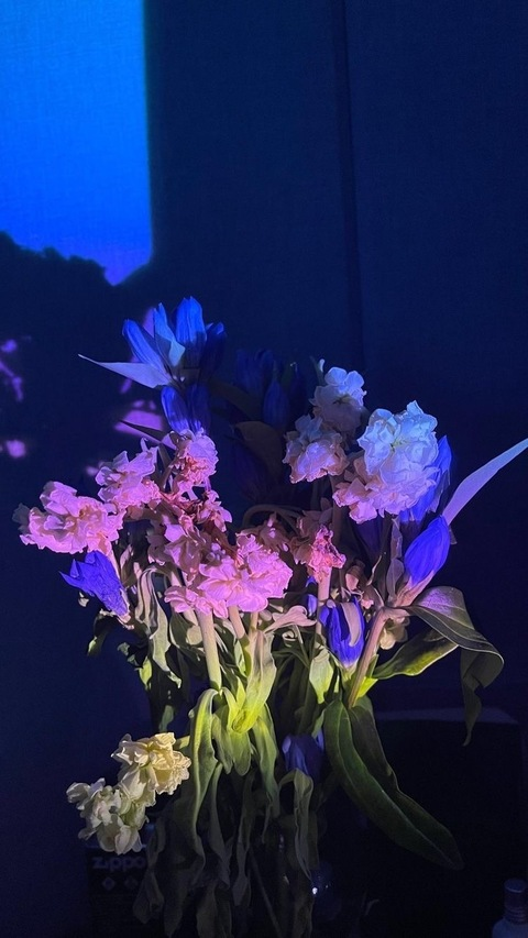 priscilababyy OnlyFans - Free Access to 32 Videos & 58 Photos Onlyfans Free Access