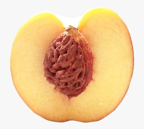 projectbarbie OnlyFans - Free Access to 32 Videos & 49 Photos Onlyfans Free Access