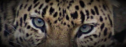 pumpkincreamcupcake OnlyFans - Free Access to 32 Videos & 101 Photos Onlyfans Free Access