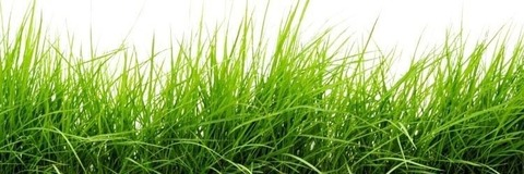 punziebby OnlyFans - Free Access to 32 Videos & 49 Photos Onlyfans Free Access