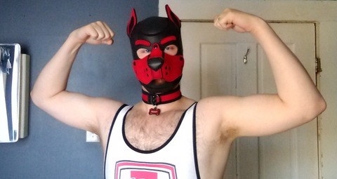 pup_scout OnlyFans - Free Access to 32 Videos & 49 Photos Onlyfans Free Access