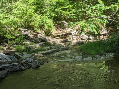 pupcoco OnlyFans - Free Access to 48 Videos & 51 Photos Onlyfans Free Access