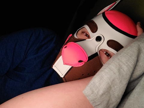 pupneo95 OnlyFans - Free Access to 32 Videos & 49 Photos Onlyfans Free Access