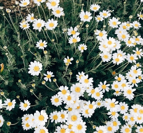 puuppygutz OnlyFans - Free Access to 32 Videos & 49 Photos Onlyfans Free Access