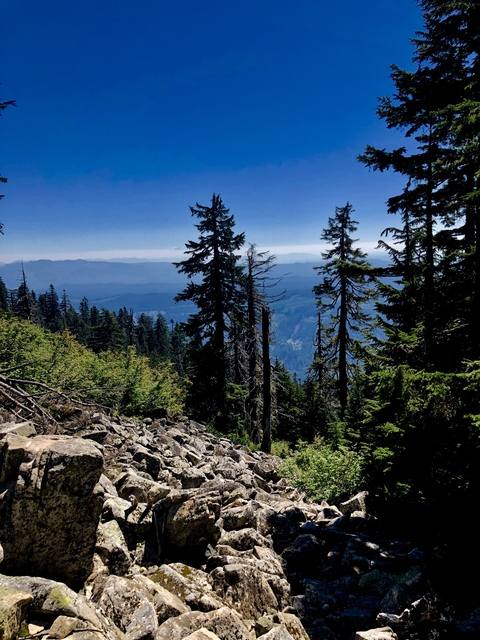 pwndallas OnlyFans - Free Access to 32 Videos & 49 Photos Onlyfans Free Access