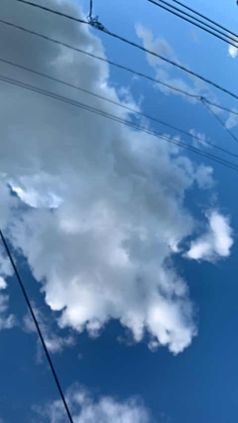 pxssyfairyyyy OnlyFans - Free Access to 32 Videos & 49 Photos Onlyfans Free Access