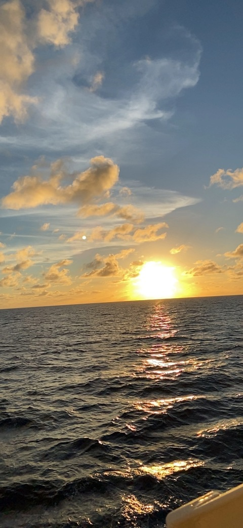 queenbee0313 OnlyFans - Free Access to 32 Videos & 49 Photos Onlyfans Free Access