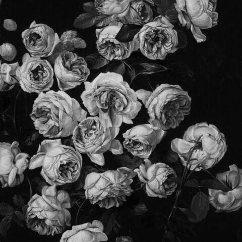 queeniebfree OnlyFans - Free Access to 32 Videos & 56 Photos Onlyfans Free Access