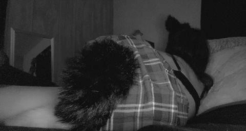 queenlilith9 OnlyFans - Free Access to 144 Videos & 299 Photos Onlyfans Free Access