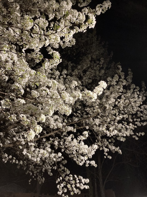 quiveringquazar OnlyFans - Free Access to 59 Videos & 49 Photos Onlyfans Free Access