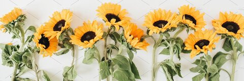 r_bongivonni OnlyFans - Free Access to 32 Videos & 49 Photos Onlyfans Free Access