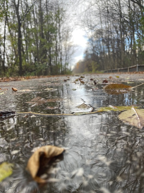 rawrgal OnlyFans - Free Access to 38 Videos & 59 Photos Onlyfans Free Access