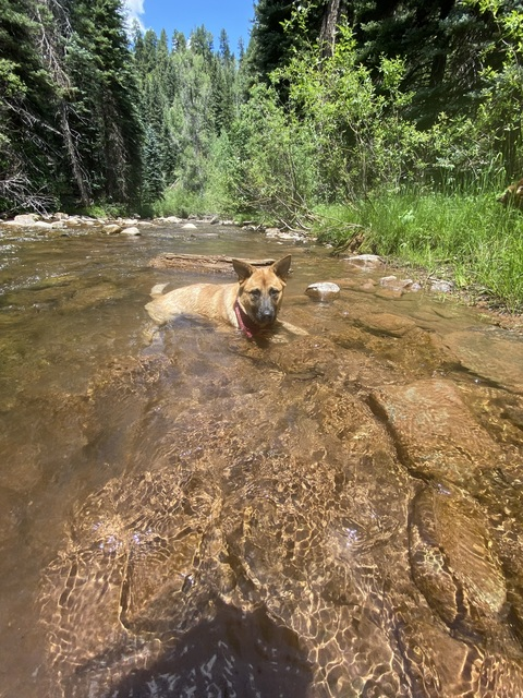 reagann007 OnlyFans - Free Access to 32 Videos & 49 Photos Onlyfans Free Access