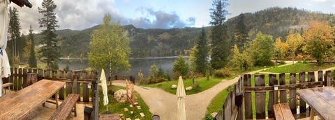 realpscho OnlyFans - Free Access to 32 Videos & 49 Photos Onlyfans Free Access