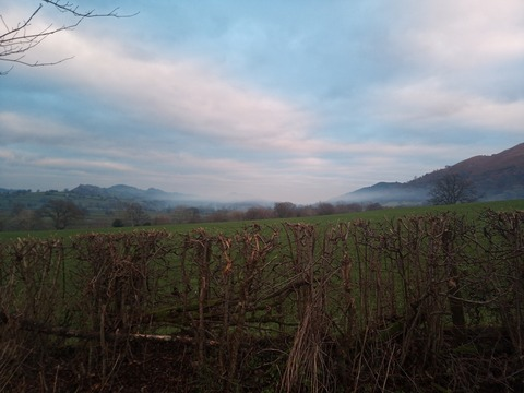 rebelb OnlyFans - Free Access to 32 Videos & 49 Photos Onlyfans Free Access