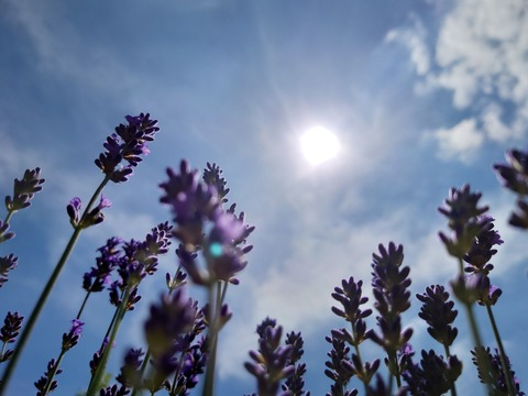 reflecting_xxx OnlyFans - Free Access to 32 Videos & 49 Photos Onlyfans Free Access