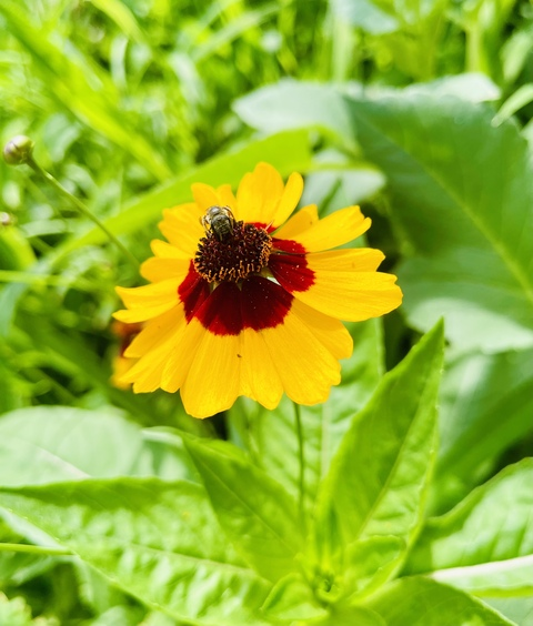 reneehope2022 OnlyFans - Free Access to 32 Videos & 54 Photos Onlyfans Free Access