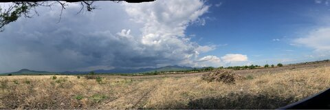 renie OnlyFans - Free Access to 32 Videos & 49 Photos Onlyfans Free Access