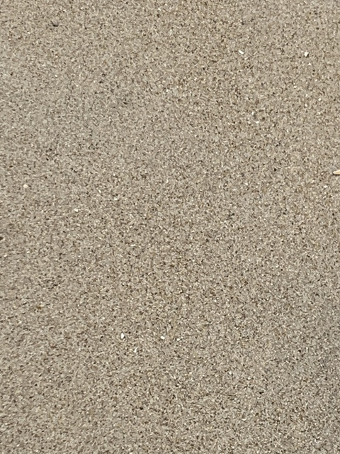 rgnbull OnlyFans - Free Access to 32 Videos & 49 Photos Onlyfans Free Access